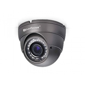 EverFocus EBD-935F