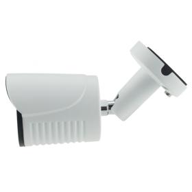 AltCam AltCam ICF24IR-2