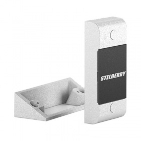 Stelberry S-100