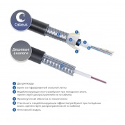 CLT-A-5-01X24-Z-PE-ARM-PE-DD-OUT-40 | Фото 1