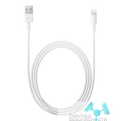 Apple MD819ZM/A Apple Lightning to USB Cable (2 m)