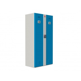 CARDDEX Автоматический локер «LP-2E»