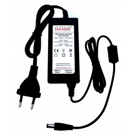 Faraday Electronics 36W/12V/3A