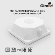 GF-JB06 | Фото 9