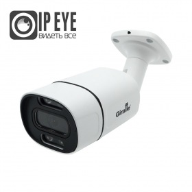 Giraffe GF-IPIR4352MP2.0 c сервисом IPEYE
