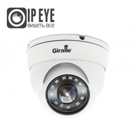 Giraffe GF-IPVIR4203MP5.0 c сервисом IPEYE