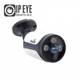 Giraffe GF-IPIR4252MP5.0 c сервисом IPEYE