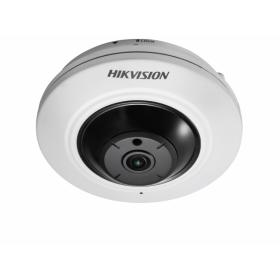 HIKVISION DS-2CD2955FWD-I (1.05mm)