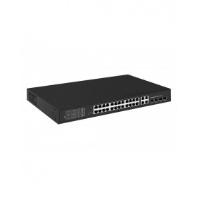 NST NS-SW-24F4G-P