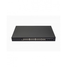 NST NS-SW-24G4G-PL