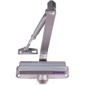 Tantos TS-DC085 Freeze серебро