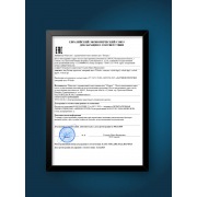 Датчик протечки Welrok dpp10 | Фото 11