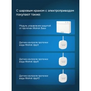 Шаровой кран с электроприводом Welrok sp латунь DN25 (1") | Фото 10