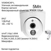 VI5404CAP-L | Фото 1