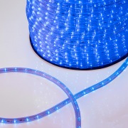 Дюралайт LED, постоянное свечение (2W) - синий, 24 LED/м, Ø10мм, бухта 100м | Фото 1