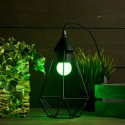 Лампа шар e27 3 LED  Ø45мм - зеленая | Фото 2