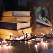 Гирлянда «Кластер LED» 3 м, темно-зеленый ПВХ IP20, 288 диодов, цвет теплый белый | Фото 2