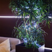 Гирлянда «Кластер LED» 3 м, темно-зеленый ПВХ IP20, 288 диодов, цвет белый | Фото 1