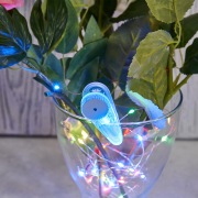 Гирлянда «Роса» с прищепкой 3 м, 30 LED, цвет свечения мультиколор, 2хCR2032 в комплекте NEON-NIGHT | Фото 2