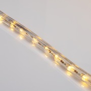 Дюралайт LED, постоянное свечение (2W) – теплый белый, 36 LED/м, бухта 100 м | Фото 3