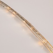 Дюралайт LED, фиксинг (2W), 24 LED/м, теплый белый, 25 м | Фото 3
