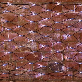 NEON-NIGHT Гирлянда "Сеть" 2х0,7м, черный ПВХ, 176 LED Белые