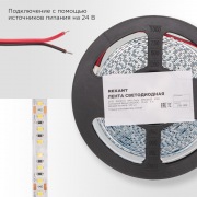 Лента светодиодная 24В, SMD2835, 9,6Вт/м, 120 LED/м, 6500K, 10мм, 5м,IP20 REXANT | Фото 2