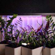 Светильник светодиодный для растений REXANT Green line 14 Вт LED с комплектом креплений | Фото 1