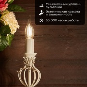 Лампа филаментная REXANT Свеча на ветру CN37 9.5 Вт 950 Лм 4000K E14 прозрачная колба | Фото 1