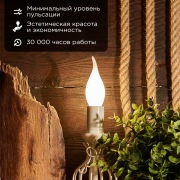 Лампа филаментная REXANT Свеча на ветру CN37 9.5 Вт 915 Лм 4000K E14 матовая колба | Фото 1