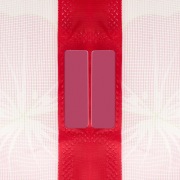 Дверная антимоскитная сетка розовая с цветами
 (магниты пришиты по всей длине сетки!) | Фото 4