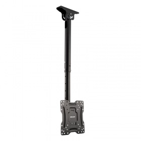 REXANT Кронштейн для телевизора 13"-42" дюймов, потолочный подвесной REXANT серия Profi